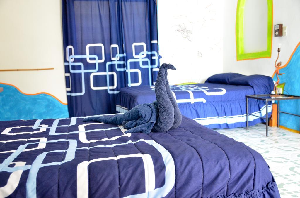 Adventure Experience Hotel بلايا ديل كارمن المظهر الخارجي الصورة