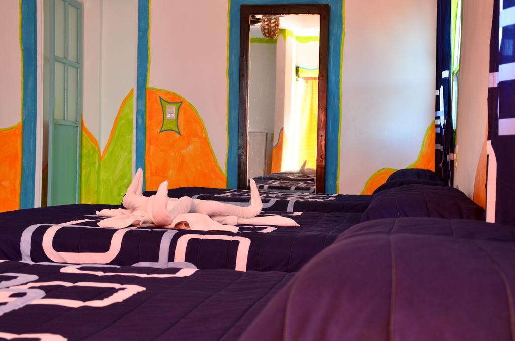 Adventure Experience Hotel بلايا ديل كارمن المظهر الخارجي الصورة