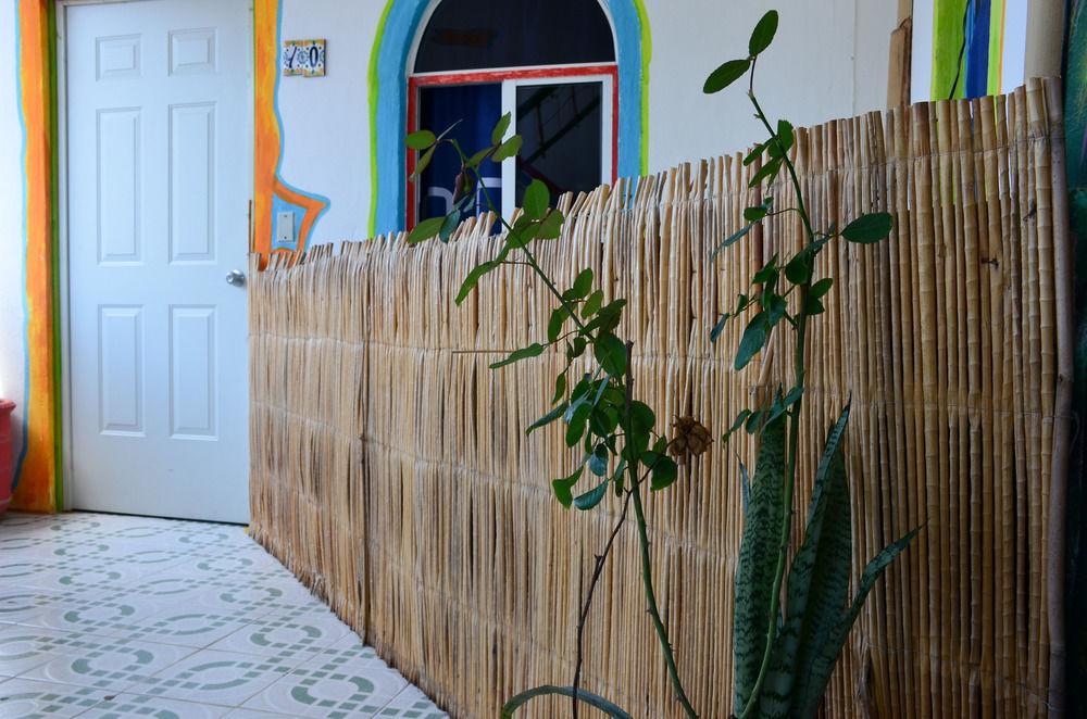 Adventure Experience Hotel بلايا ديل كارمن المظهر الخارجي الصورة
